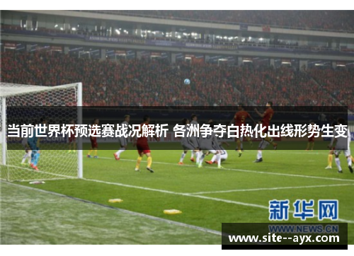 当前世界杯预选赛战况解析 各洲争夺白热化出线形势生变