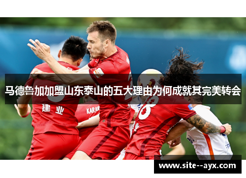 马德鲁加加盟山东泰山的五大理由为何成就其完美转会