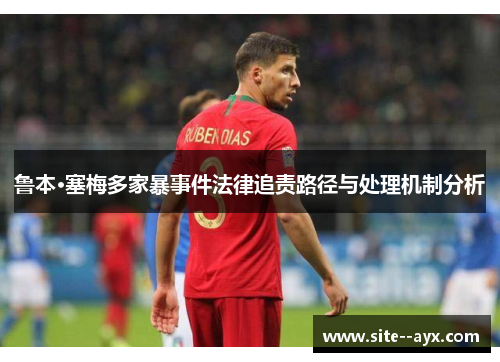 鲁本·塞梅多家暴事件法律追责路径与处理机制分析