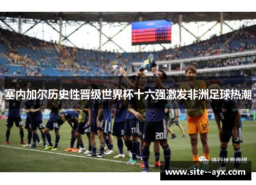 塞内加尔历史性晋级世界杯十六强激发非洲足球热潮