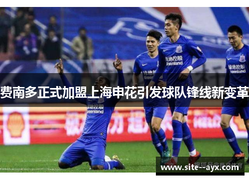费南多正式加盟上海申花引发球队锋线新变革 费南多正式加盟上海申花引发球队锋线新变革